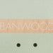 Banwood Skateboard Mint Up Close Top