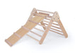 Lily and River Little Climber Lifestyle Wood Climber With Rock Wall Rear View