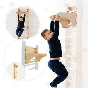 Gym Addition to Triangle Ladder
