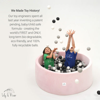 Lily and River Little Ball Pit We History