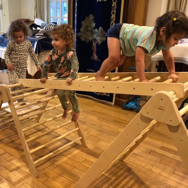RAD Children's Furniture Ladder