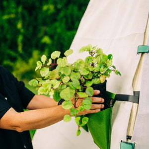 Bijou Bloom Hanging Planters | Bijou Accessory