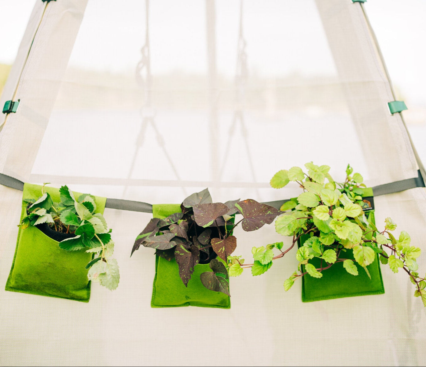 Bijou Bloom Hanging Planters | Bijou Accessory