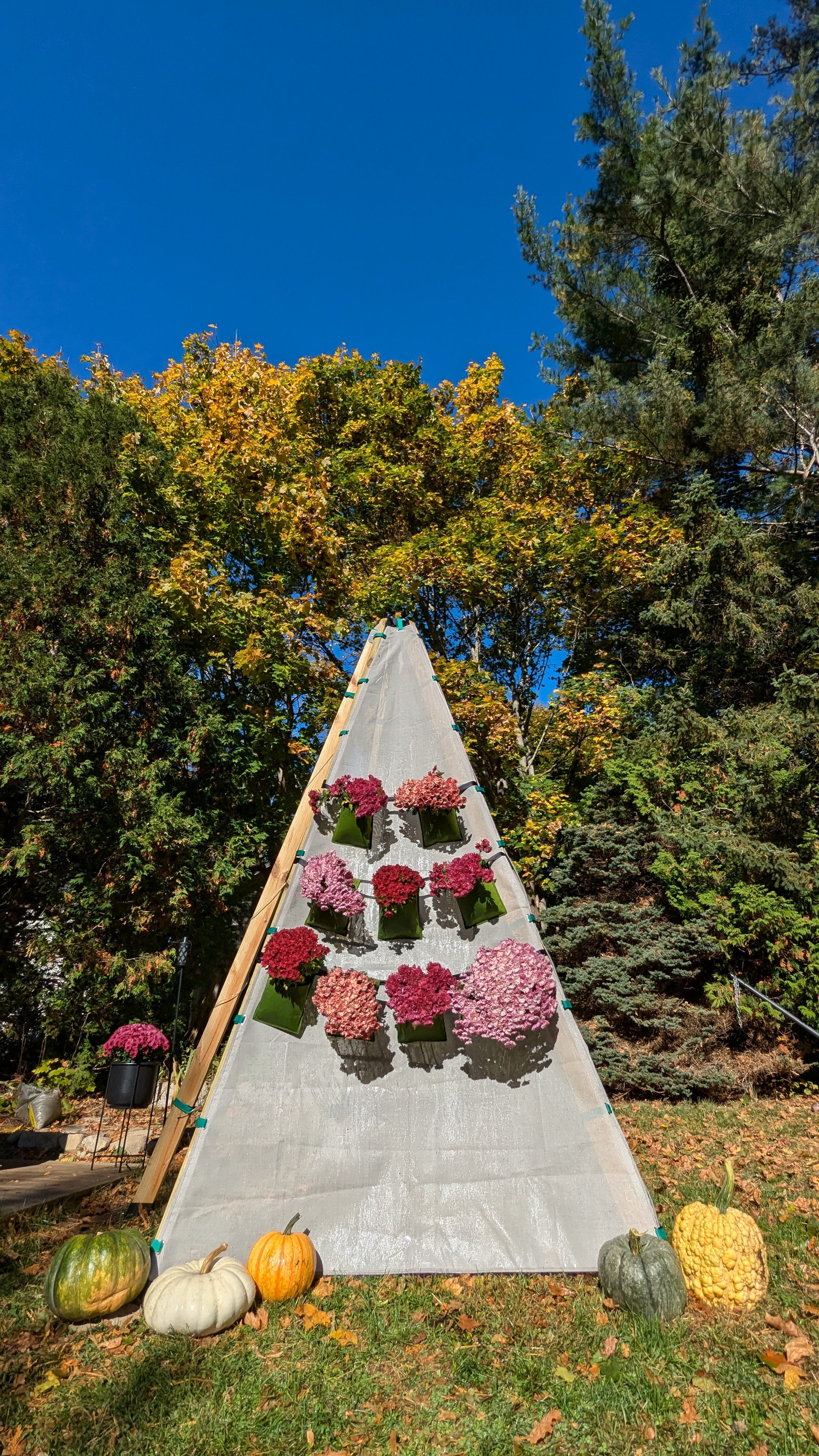 Bijou Bloom Hanging Planters | Bijou Accessory