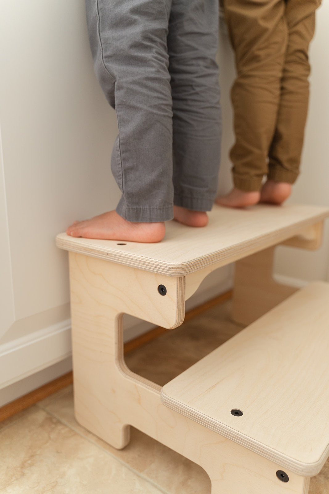 The Double Step Stool