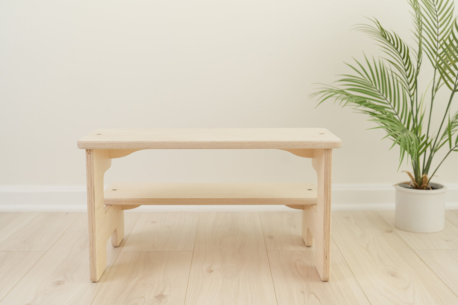 The Double Step Stool