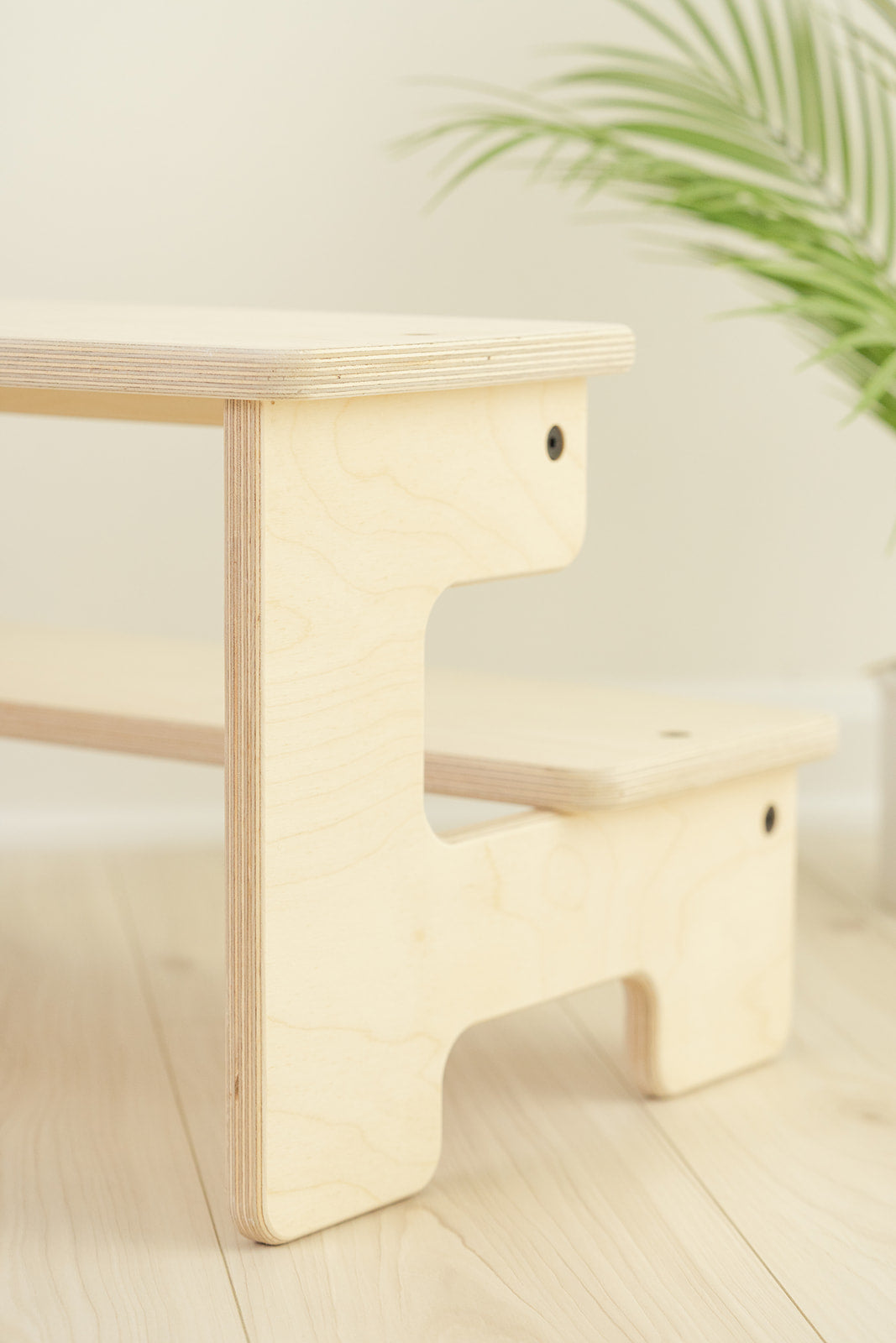The Double Step Stool