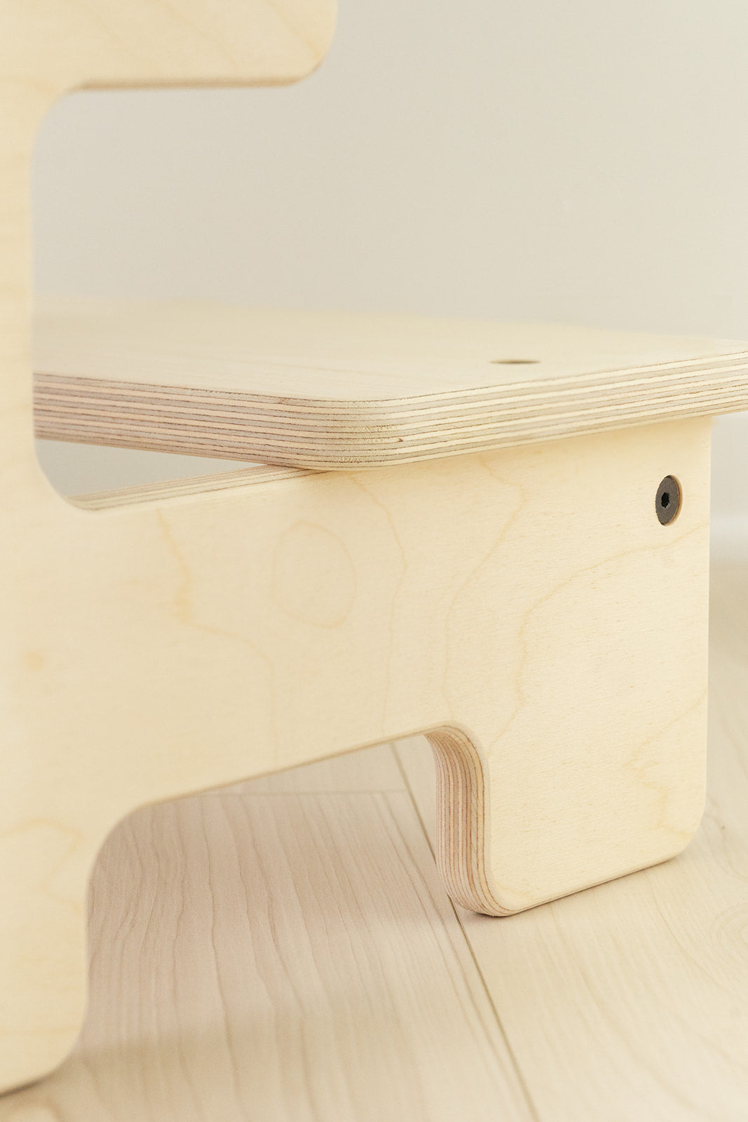 The Double Step Stool