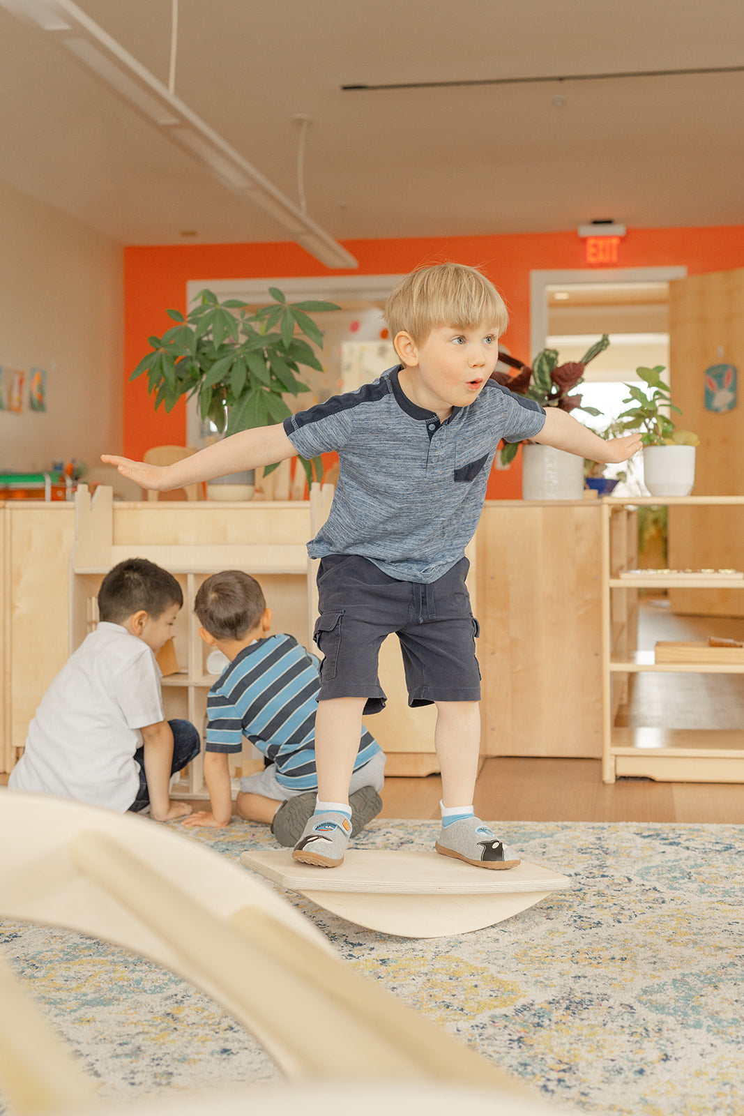 Blueberry and Third Balance Board