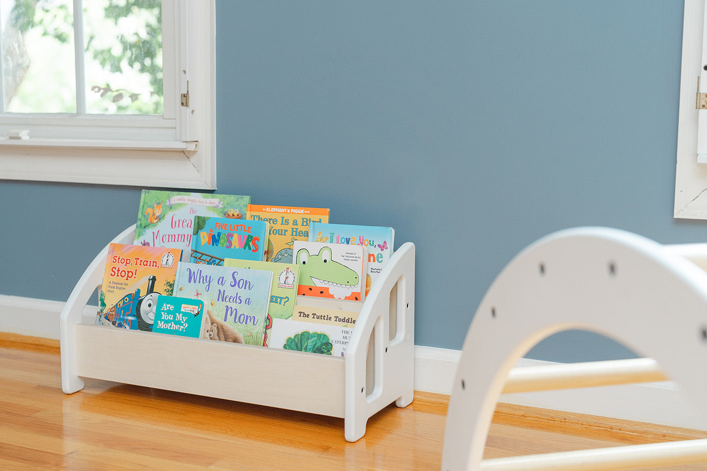 Blueberry and Third Floor Bookshelf