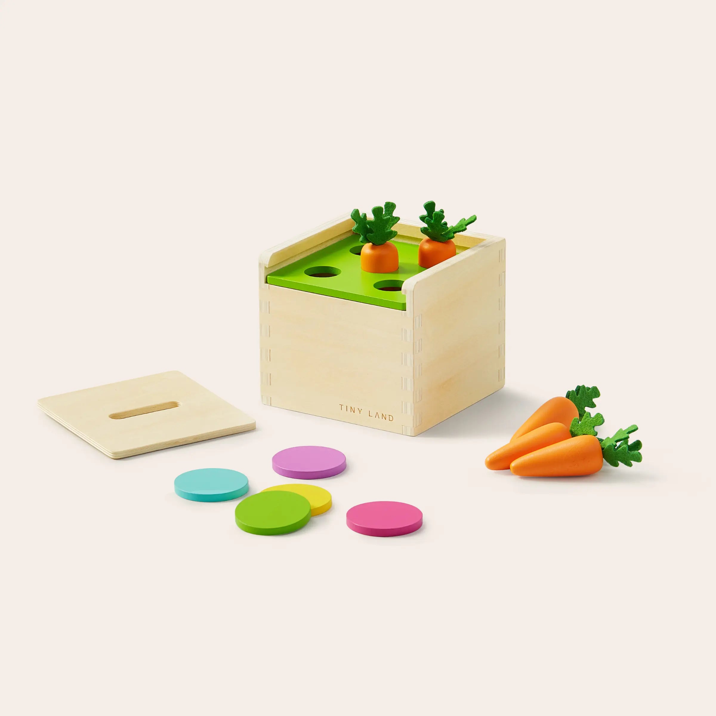 Montessori Box for Toddlers (13–15 Months)