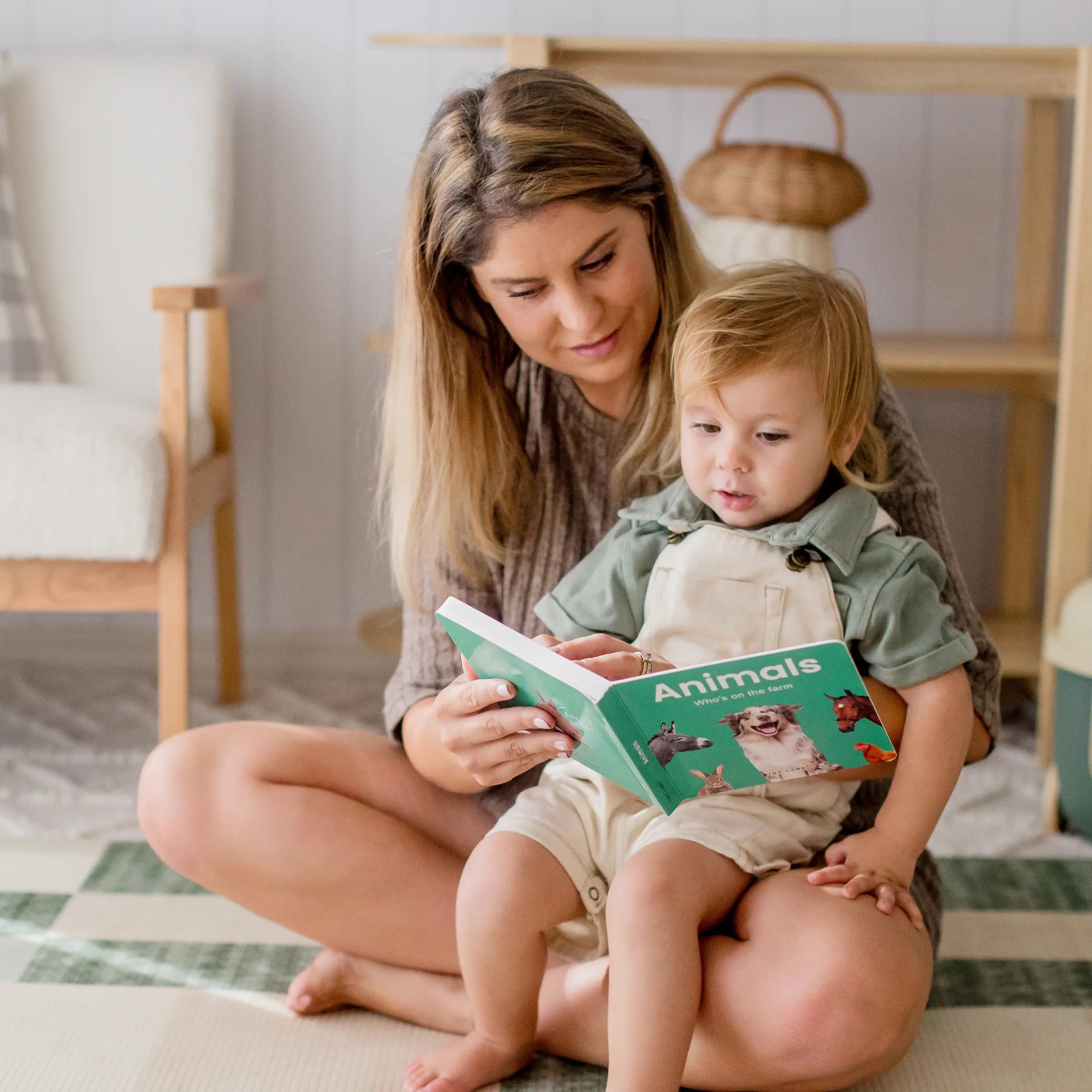 Montessori Box for Toddlers (16–18 Months)