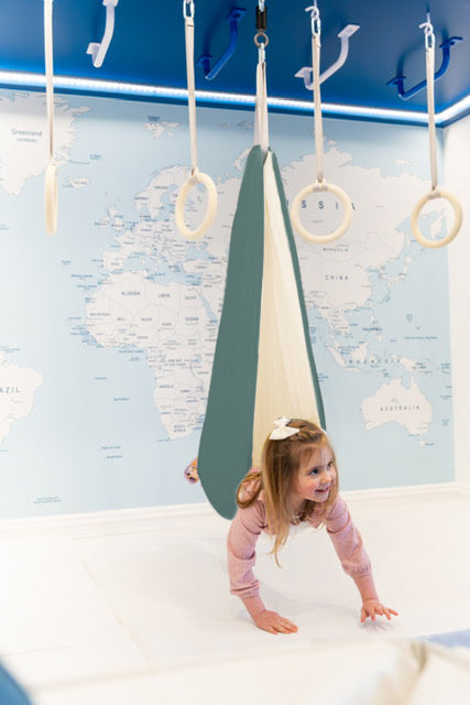 Sensory Swing