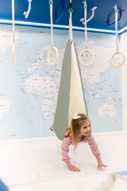 Sensory Swing