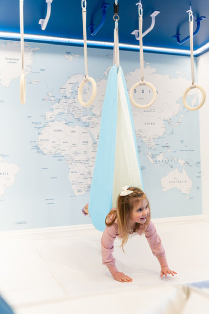 Sensory Swing