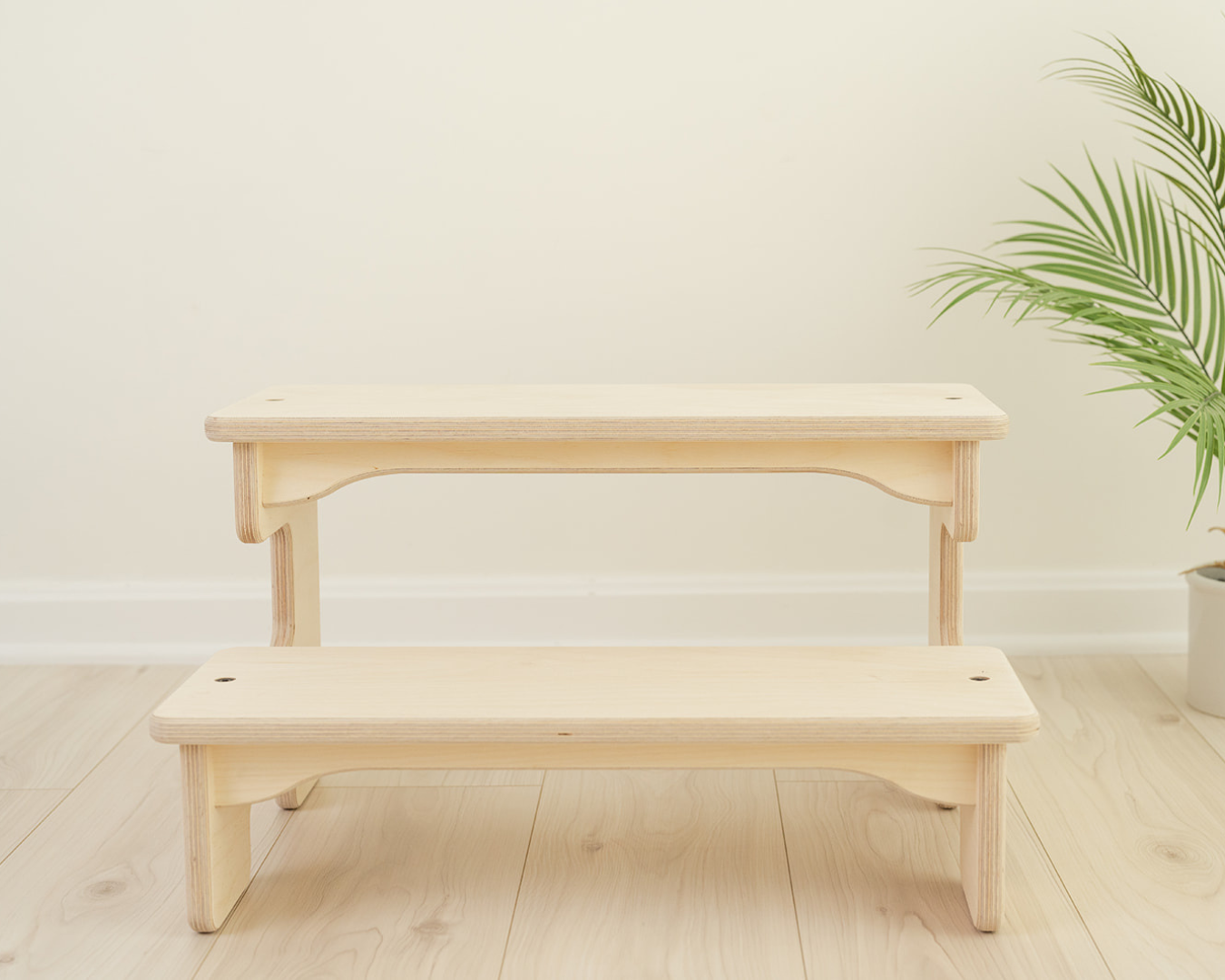 The Double Step Stool