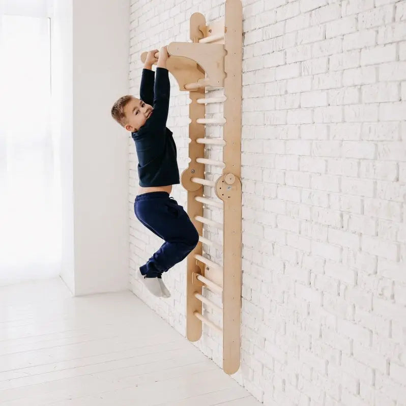 Gym Addition to Triangle Ladder