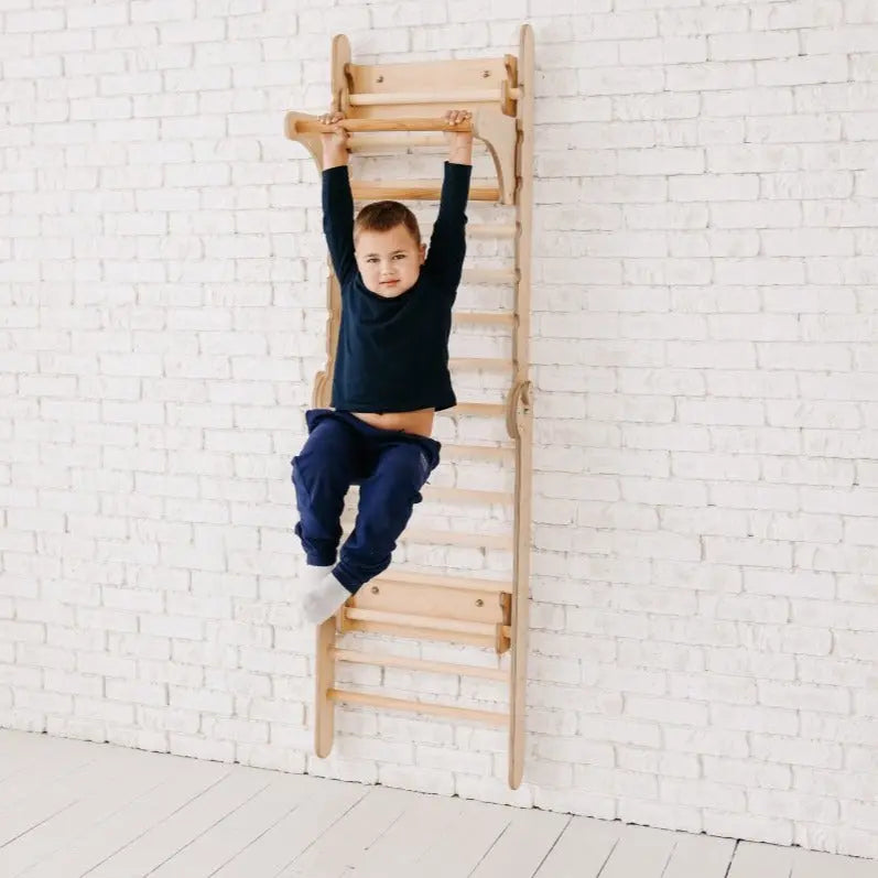 Gym Addition to Triangle Ladder