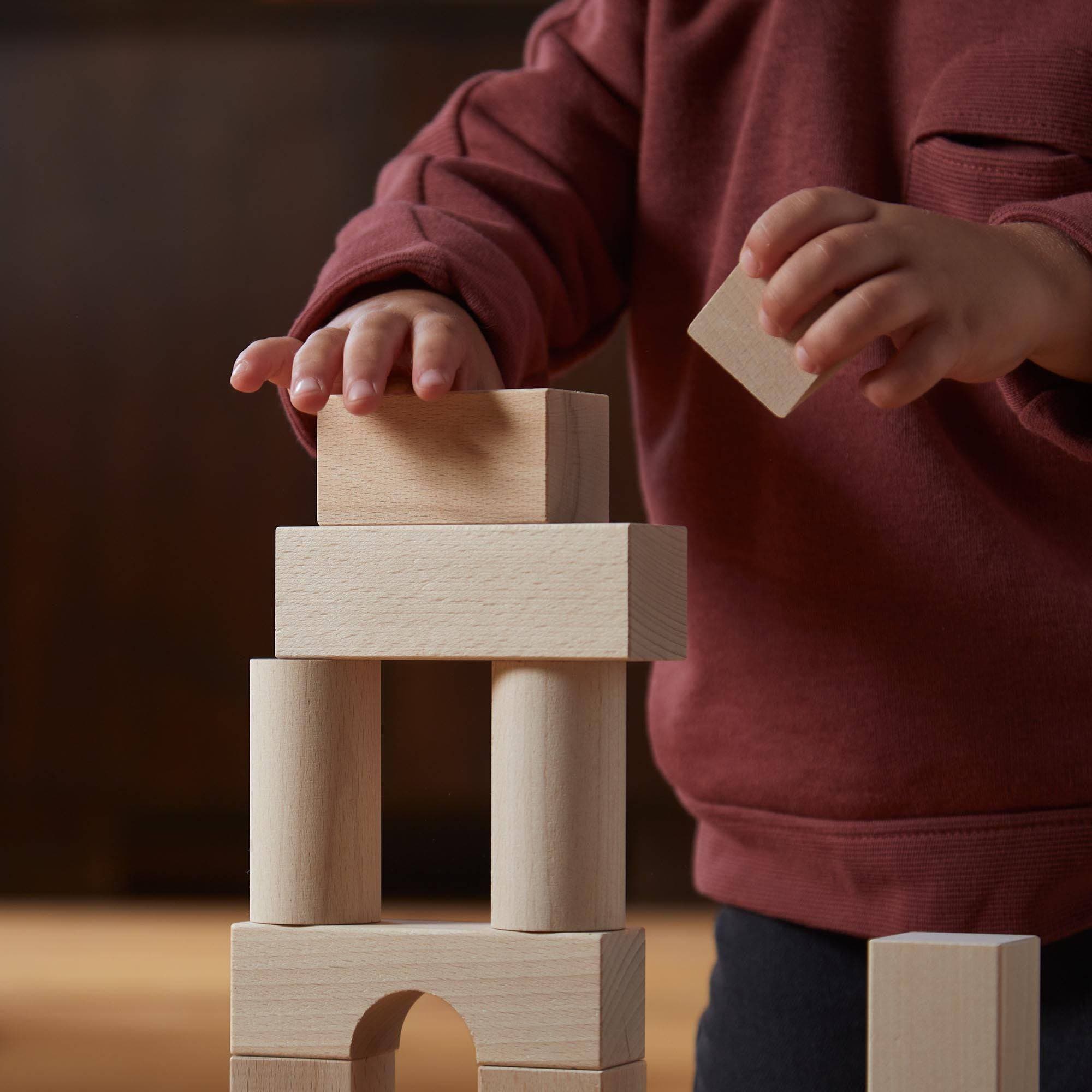 Haba Blocks HABA Basic Building Blocks 60 Piece — AlignedPlay