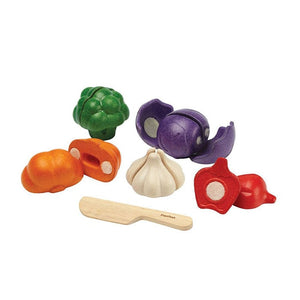 PlanToys 5 Colors Veggie Set Detailed