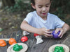 PlanToys 5 Colors Veggie Set Front View