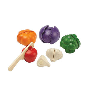 PlanToys 5 Colors Veggie Set Full View