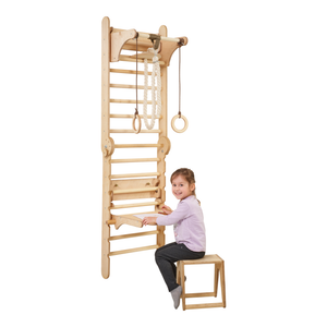 Swedish Wall for Kids + Swings+ Slide + Art Add-on