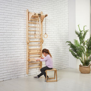 Swedish Wall for Kids + Swings+ Slide + Art Add-on