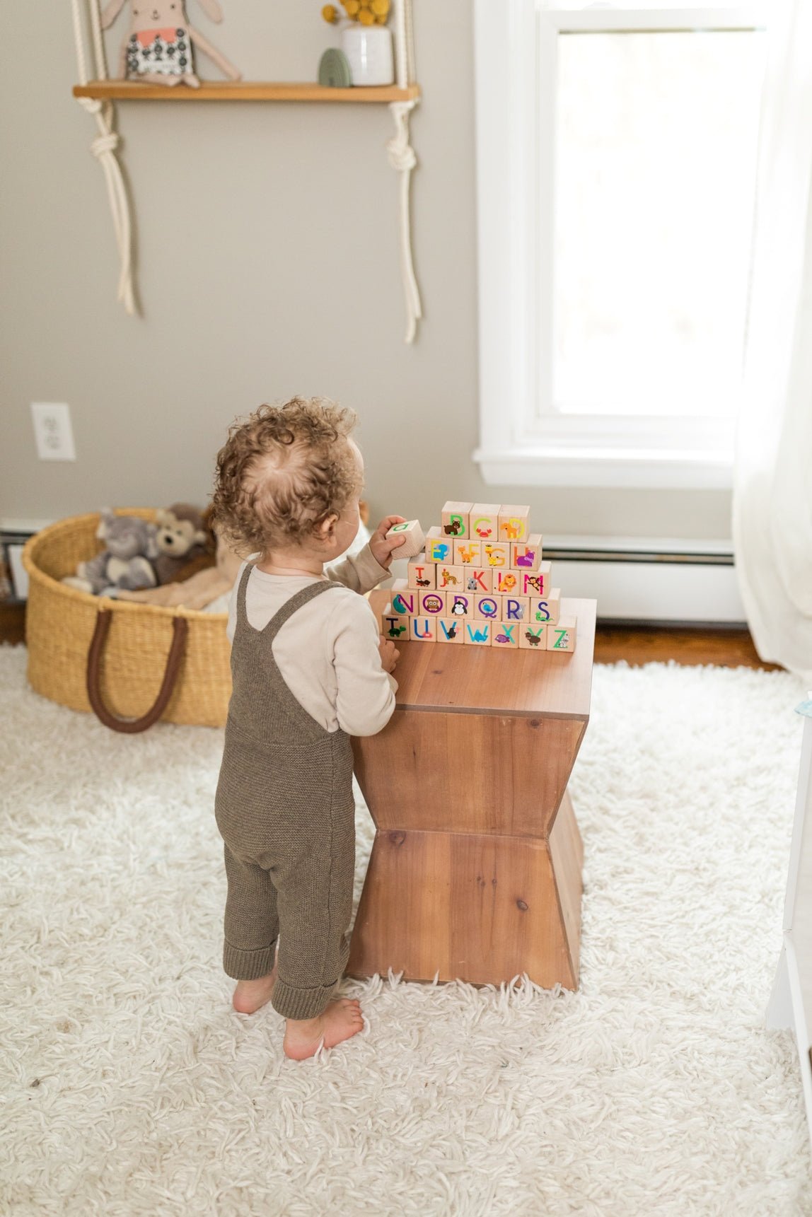 Bannor Toys Animal ABC Blocks
